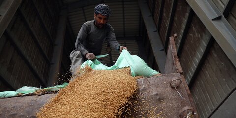 Ein Arbeiter entlädt Weizen in einem Getreidesilo in Banha im Gouvernement Qalyubia, Ägypten. Ägypten zählt zu den größten Weizen-Importeuren der Welt und ist aktuell stark von Preissteigerungen betroffen.