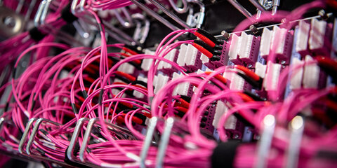 Cyberattacken verursachen auch in Deutschland Schäden