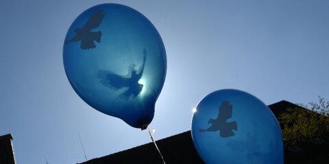 Zwei blaue Luftballons mit aufgedruckten Friedenstauben vor blauem Himmel
