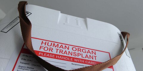 Box für den Transport von Organspenden