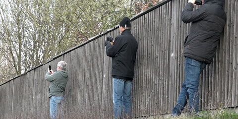 Schaulustige fotografieren neben einer Lärmschutzwand mit ihren Smartphones einen Unfall